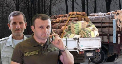 Про розкрадання лісового господарства у Кутівській філії ДПСліси України директором Юрієм Соймою