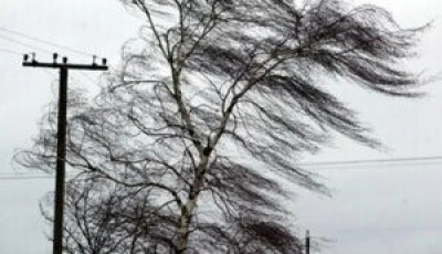 Вітер та дощ завдали суттєві пошкодження електромережам, Польща надала аварійну допомогу