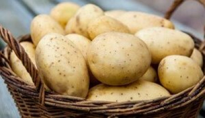 В Україні подешевшала картопля на 13%